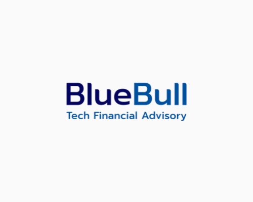 BlueBull Partners